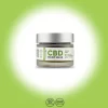 Full Spectrum CBD Topical Salve - 500mg CBD