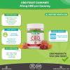 Rapid Recovery CBD Bundle