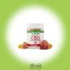 Full Spectrum CBD Fruit Slice Gummies – 30mg